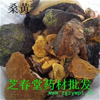 桑黄 猢狲眼 桑耳 针层孔菌 桑臣 桑黄菇 桑寄生 树鸡 桑黄菰 梅树菌 产地山东 支持验货图4