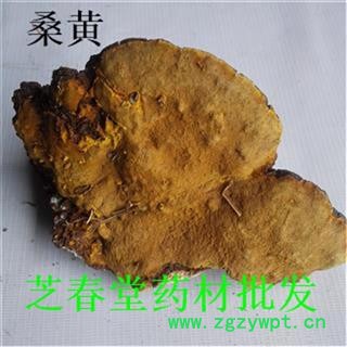 桑黄 猢狲眼 桑耳 针层孔菌 桑臣 桑黄菇 桑寄生 树鸡 桑黄菰 梅树菌 产地山东 支持验货图2