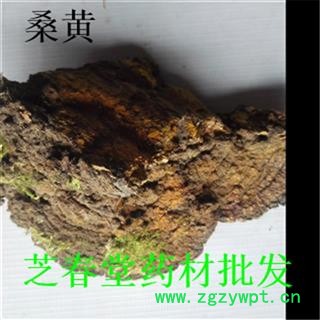 桑黄 猢狲眼 桑耳 针层孔菌 桑臣 桑黄菇 桑寄生 树鸡 桑黄菰 梅树菌 产地山东 支持验货图3