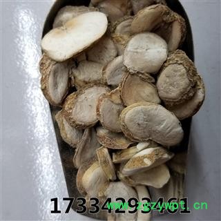 瑞森药材行浙贝  大片 贝母 象贝母 大贝母无硫新货图3