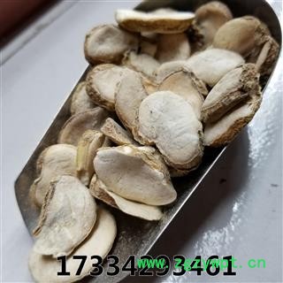 瑞森药材行浙贝  大片 贝母 象贝母 大贝母无硫新货图2