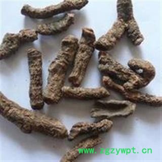 诺源药材行中药材云南血三七图4