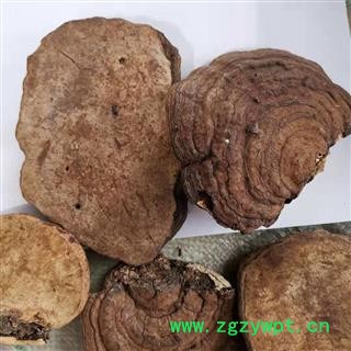 九盛堂中药材 树舌 赤色老母菌、白斑腐菌 皂角菌 扁木灵芝、扁芝图3