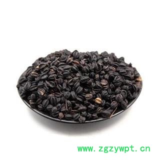 诺源药材行东北刺五加果 颗粒养生茶叶 纯天然中药材刺五加子图2