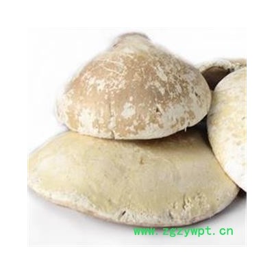 吉康药业灵芝 白灵芝 玉芝白边白灵芝 玉芝 苦白蹄