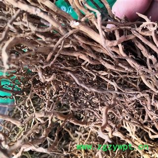 诺源药材行中药材野生牛尾菜  牛尾蕨图2
