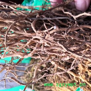 诺源药材行中药材野生牛尾菜  牛尾蕨图3