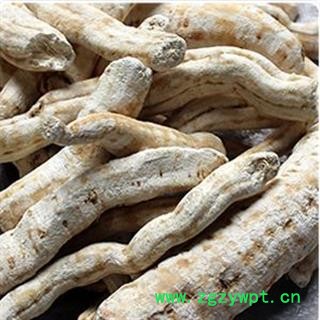 诺源中药材天花粉 栝楼根 白药 天瓜粉图2