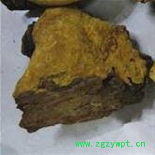 吉康药业 西藏桑树桑黄 桑耳 金边桑黄灵芝图2