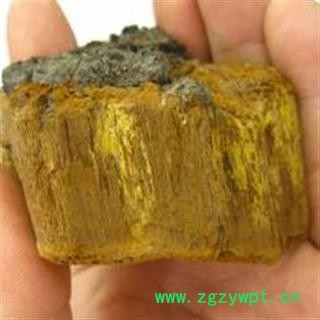 吉康药业 西藏桑树桑黄 桑耳 金边桑黄灵芝图3