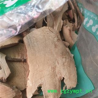 诺源药材行毛冬青根  正品阴枝图2
