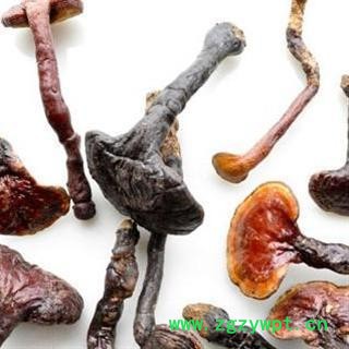 吉康药业灵芝 林芝 林芝 产地 吉林省长春市市辖区图2