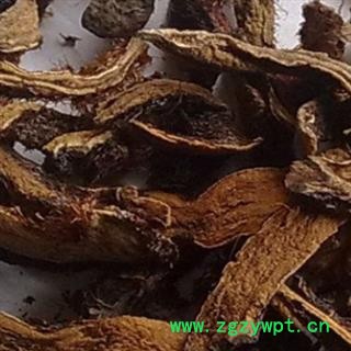 骨碎补 烫骨碎补统货 产地 贵州省图2