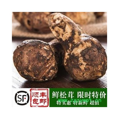 【顺丰包邮】新鲜松茸全规格齐全现货特价批发带包装3~5cm、7~9cm、9~12cm、12~15cm冰袋冷藏川蜀山农中药材批发