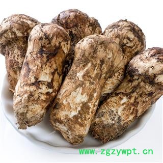 【顺丰包邮】新鲜松茸全规格齐全现货特价批发带包装3~5cm、7~9cm、9~12cm、12~15cm冰袋冷藏川蜀山农中药材批发图3