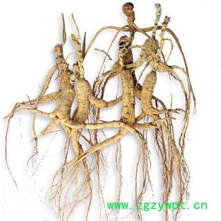 煜庭药业 人参 野山参 林下参图2