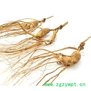 煜庭药业 人参 野山参 林下参图4