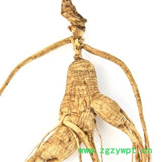 煜庭药业 人参 野山参 林下参图3