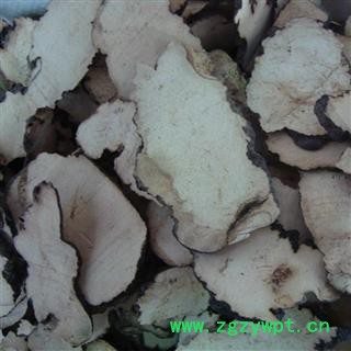 猪苓 统片 产地 黑龙江省 茗生春药材总公司 一手货源 7天无理由退换图2