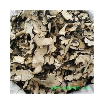 猪苓 统片 产地 黑龙江省 茗生春药材总公司 一手货源 7天无理由退换