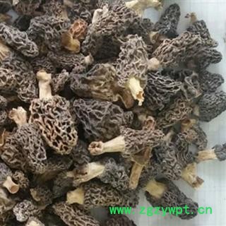 小丽百草行西藏羊肚菌干货香菇蘑菇食用菌图2