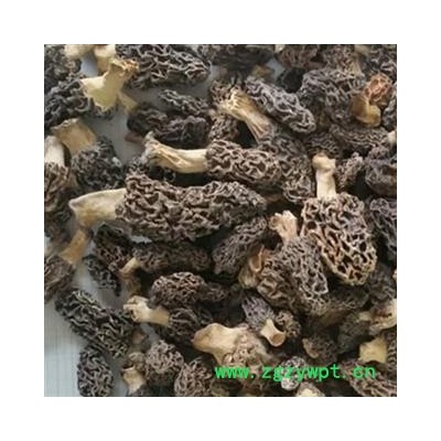 小丽百草行西藏羊肚菌干货香菇蘑菇食用菌