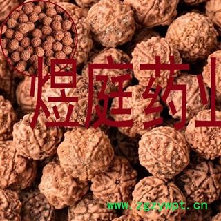 煜庭药业 金刚 金刚菩提子 正品图4
