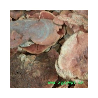 小丽百草行中药材东方栓菌  东方云芝长白山东方栓菌 灰带栓菌 东方云芝