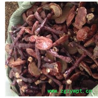 灵芝 山东选装灵芝个 产地 山东省图2