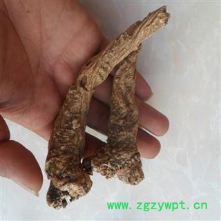 煜庭药业 法罗海 发罗海 法罗梅 土川芎 法落海 返现进行中图4