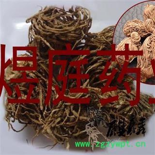 煜庭药业 头顶一棵珠 头顶一颗珠 玉儿七 佛手七 黄花三七 尸儿七 芋儿七 狮儿七图3