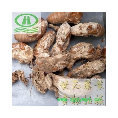 世元药业 金蝉花选货 正品饱满别称-蝉蛹草 蝉茸 冠蝉 胡蝉 唐蜩 大虫草