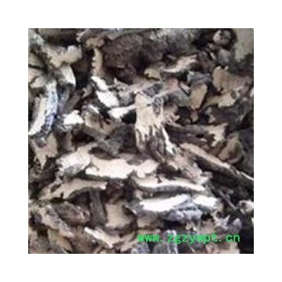 猪苓 统货 产地 黑龙江省