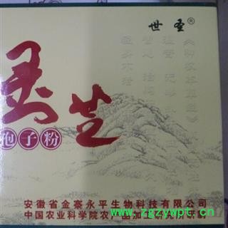 灵芝 统 产地 安徽省六安市金寨县 产地直供 支持线上保障交易 安徽省冰源堂药业经营品3000余种中药材【道地中药材】图2