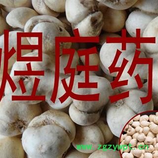 煜庭药业 浙贝 贝母 象贝 象贝母 大贝母图4