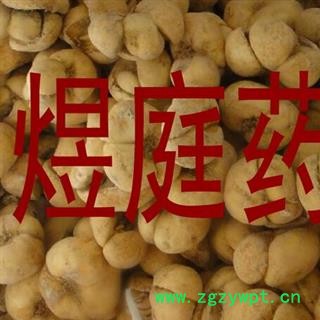 煜庭药业 浙贝 贝母 象贝 象贝母 大贝母图2