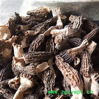 羊肚菌 贵州人工培植选货 产地 贵州省 羊肚菜、羊蘑、羊肚蘑图3