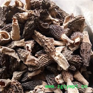 羊肚菌 贵州人工培植选货 产地 贵州省 羊肚菜、羊蘑、羊肚蘑图2