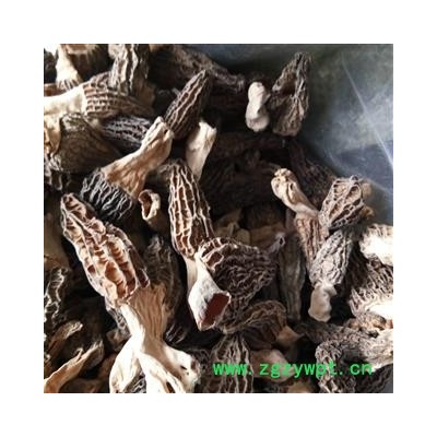 羊肚菌 贵州人工培植选货 产地 贵州省 羊肚菜、羊蘑、羊肚蘑