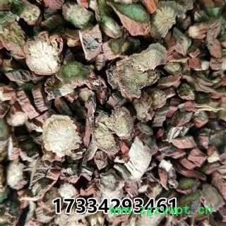 丹参 山西万荣红皮  红根 大红袍 血参根图2