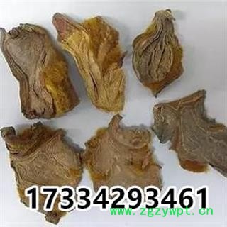 狗脊  中药材 金毛狗脊 干货 烫狗脊图3