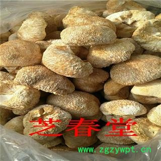 芝春堂 无硫原色 猴头菇 猴头菌 猴头蘑 刺猬菌 猬菌 猴菇图3