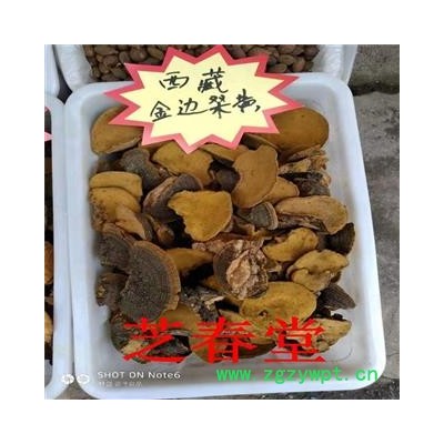 芝春堂 无硫正品 桑黄 桑上寄生 桑臣  胡孙眼 桑黄菰 桑黄菇