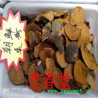 芝春堂 无硫正品 桑黄 桑上寄生 桑臣  胡孙眼 桑黄菰 桑黄菇图4