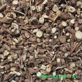 柴胡  中药材柴胡根 北柴胡 柴胡图3