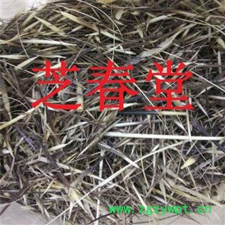 芝春堂 批发正品冷背中药材优质 豪猪刺 保证质量 诚信经营图4