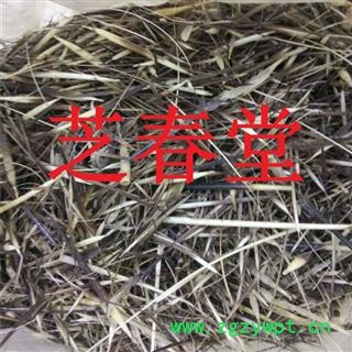 芝春堂 批发正品冷背中药材优质 豪猪刺 保证质量 诚信经营图2