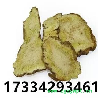 独活  独活片 玉活 独摇草 长生草图3