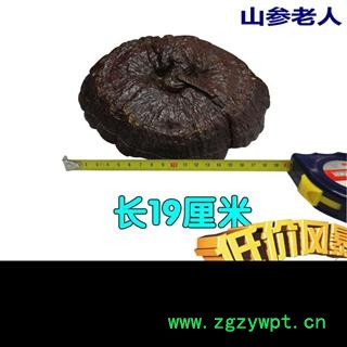 灵芝野生灵芝灵芝孢子粉图2