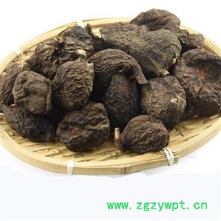 中药材乌灵参 乌苓参菌 鸡枞蛋 雷震子 鸡茯苓 吊金钟图2